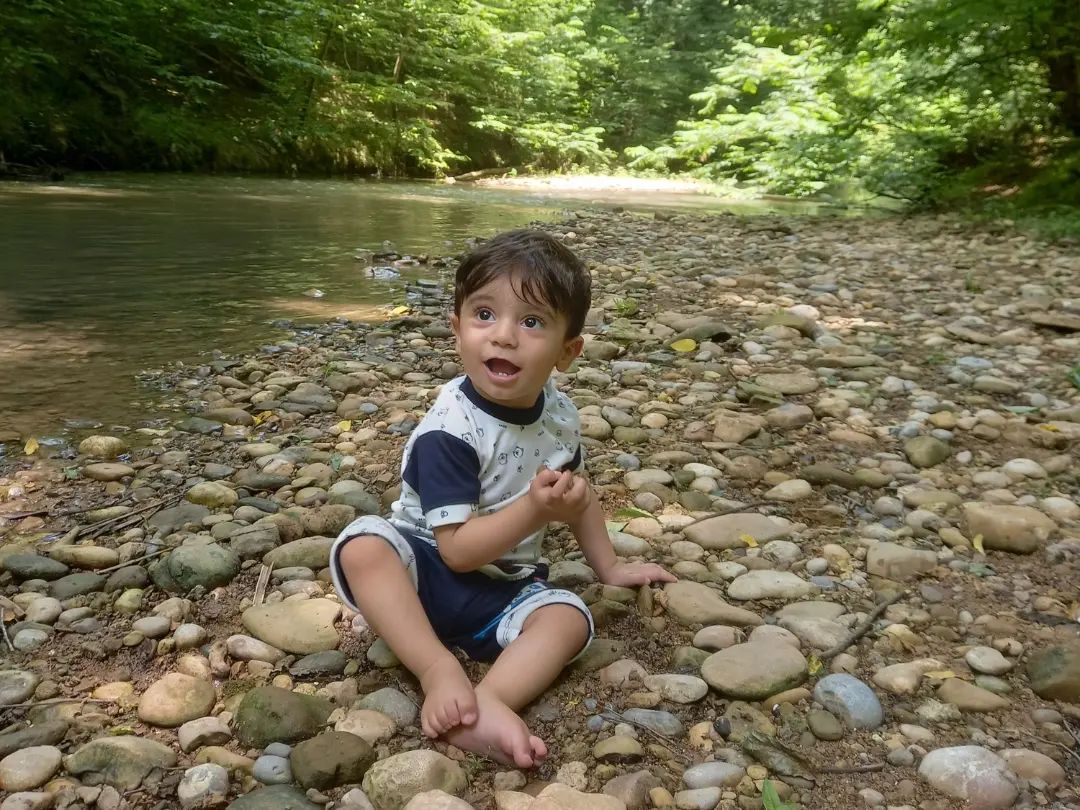 طبیعت رهام براری