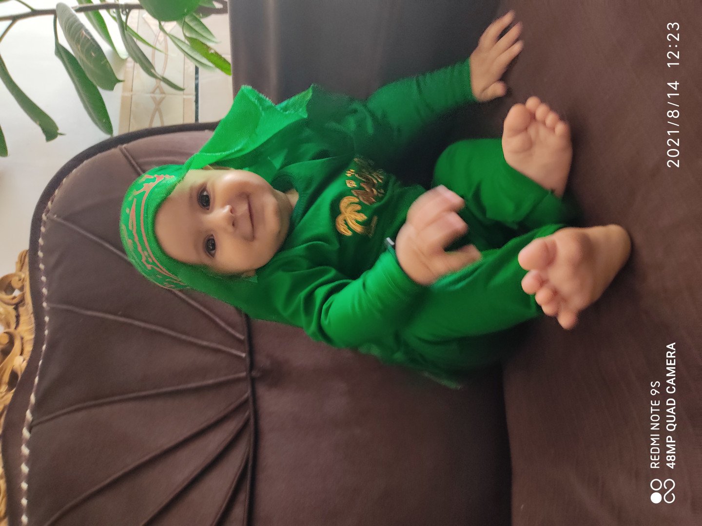 چهار‌دست و پا رفتن نوزاد آرادقهفرخی