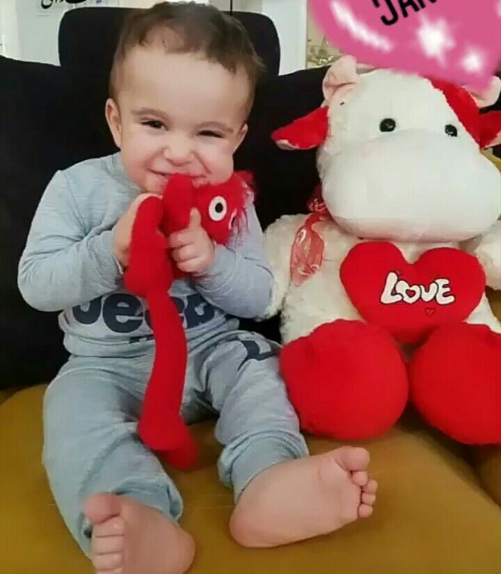 عروسک مورد علاقه جانیار ابراهیمیان فر