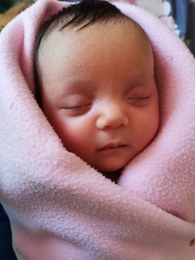 متولد شدن نوزاد پانیسا عشاق