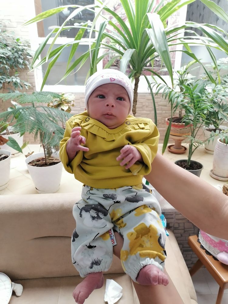 متولد شدن نوزاد جانان بلاغی