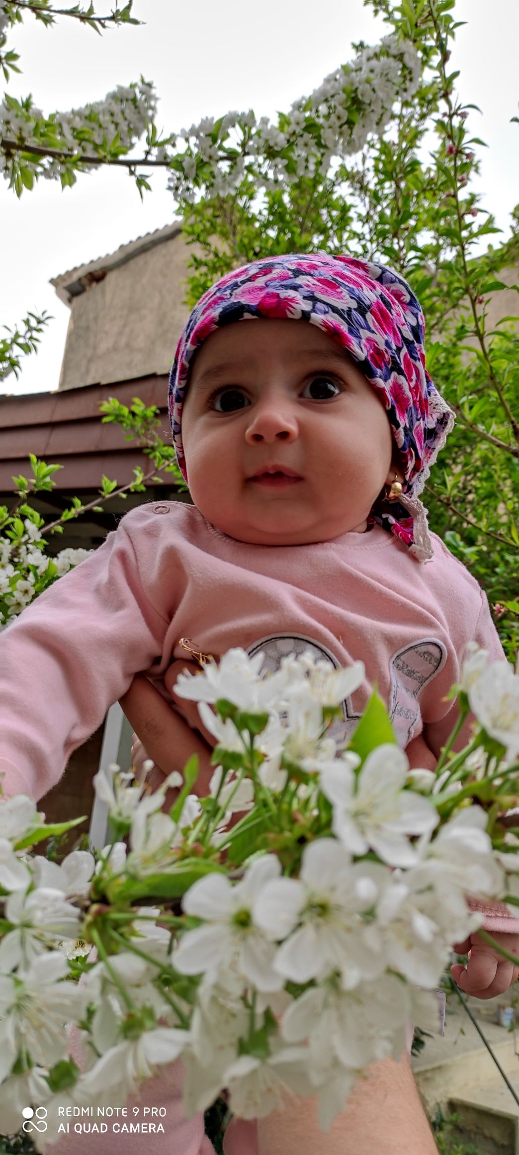 شش ماهگی نوزاد مرسانا قربان‌زاده