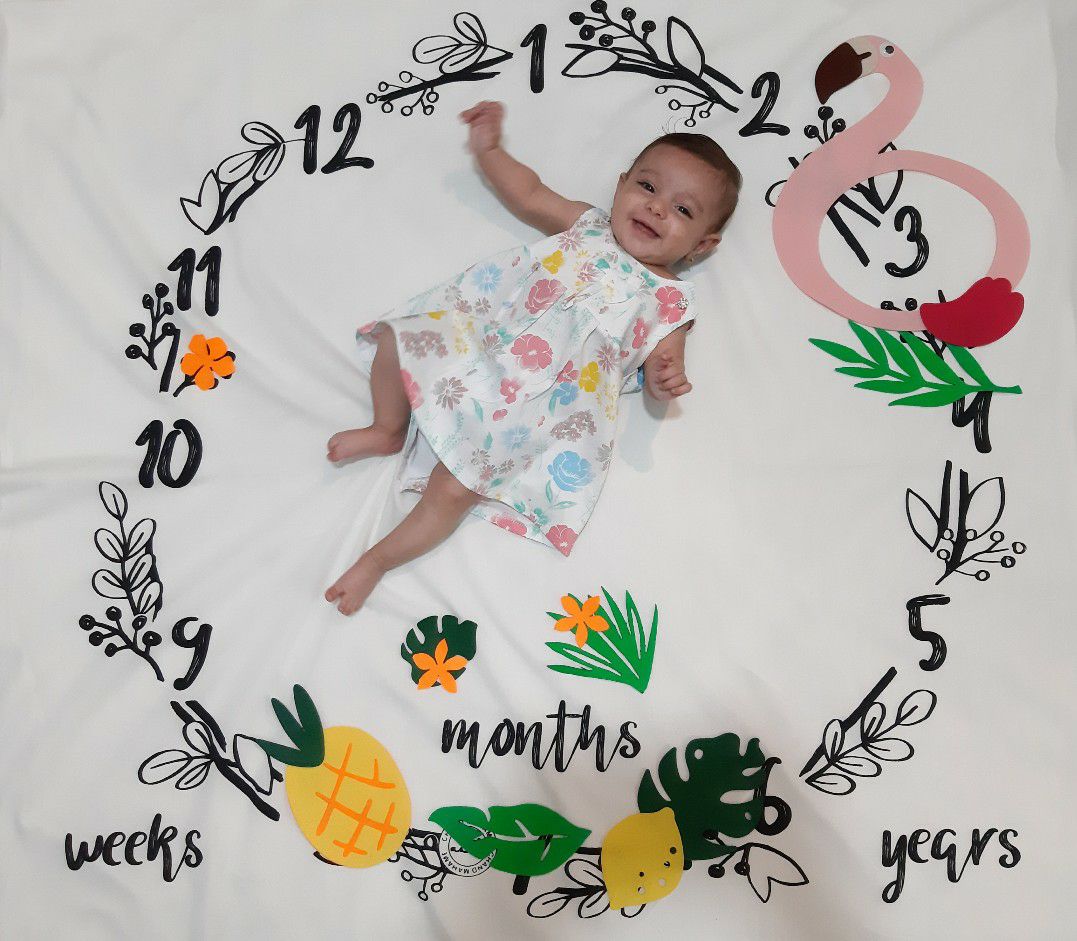 ایده Elsana mirsamiee