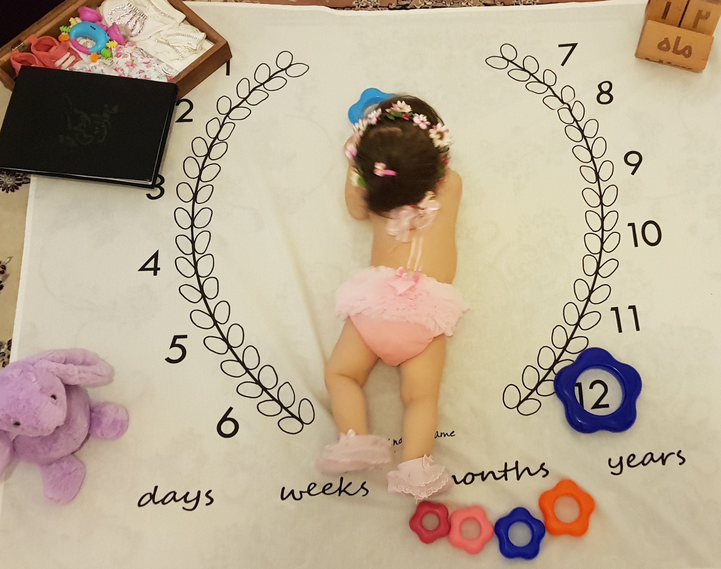 عکس نوزاد دختر ترمه امینی