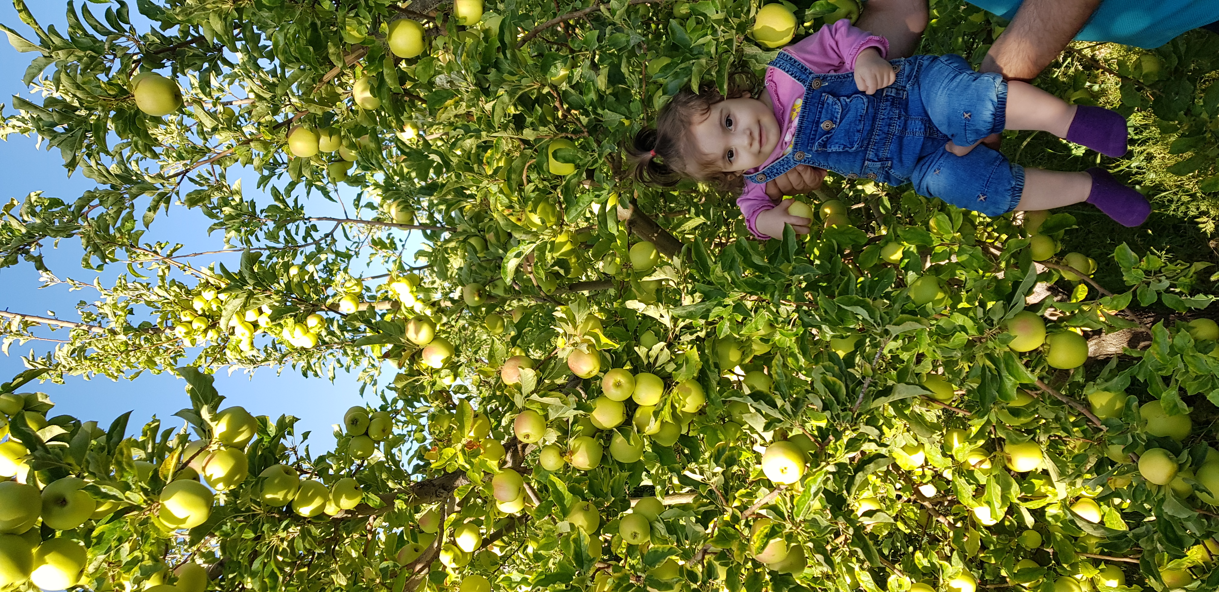 راه رفتن نوزاد ترمه امینی
