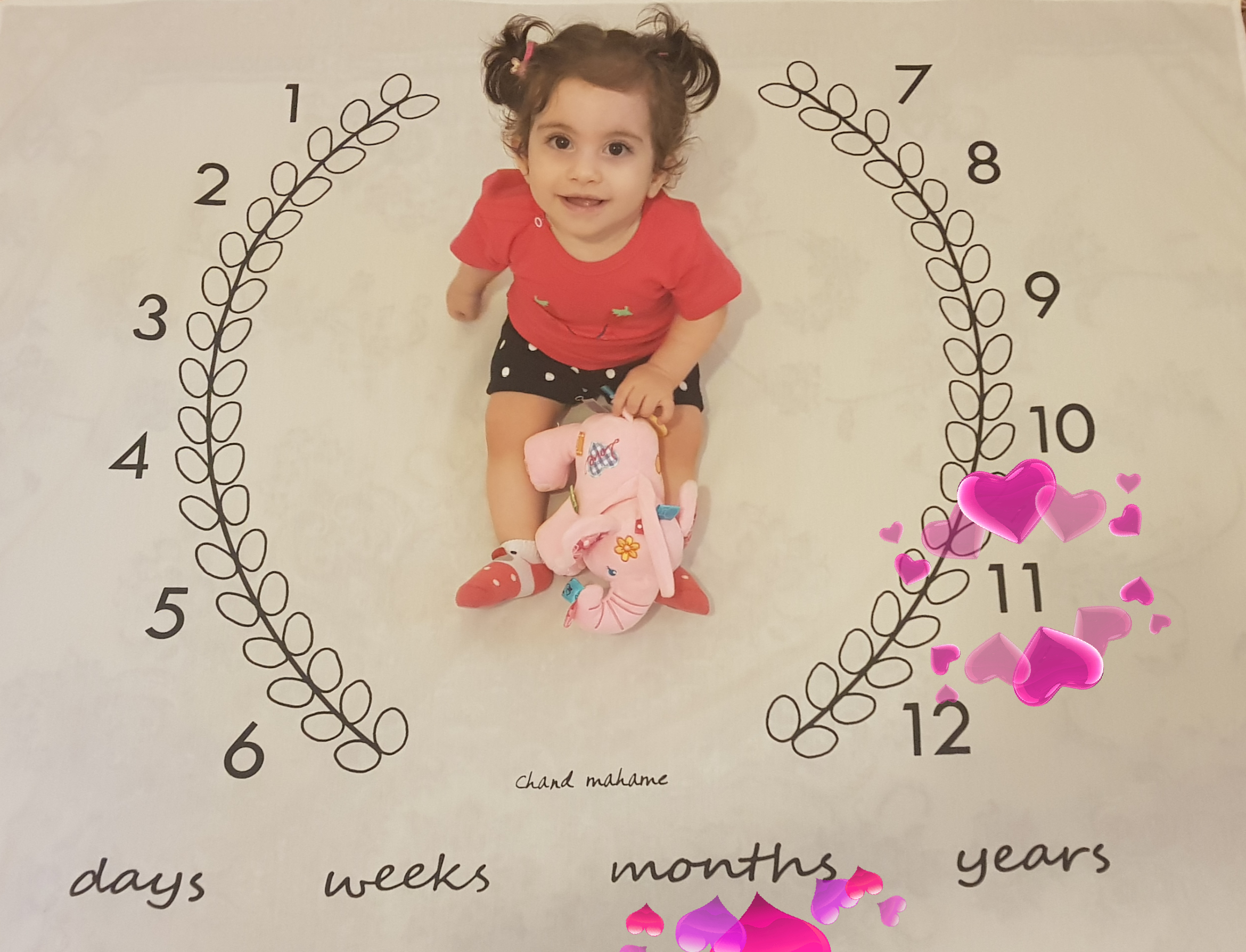 یازده ماهگی نوزاد ترمه امینی