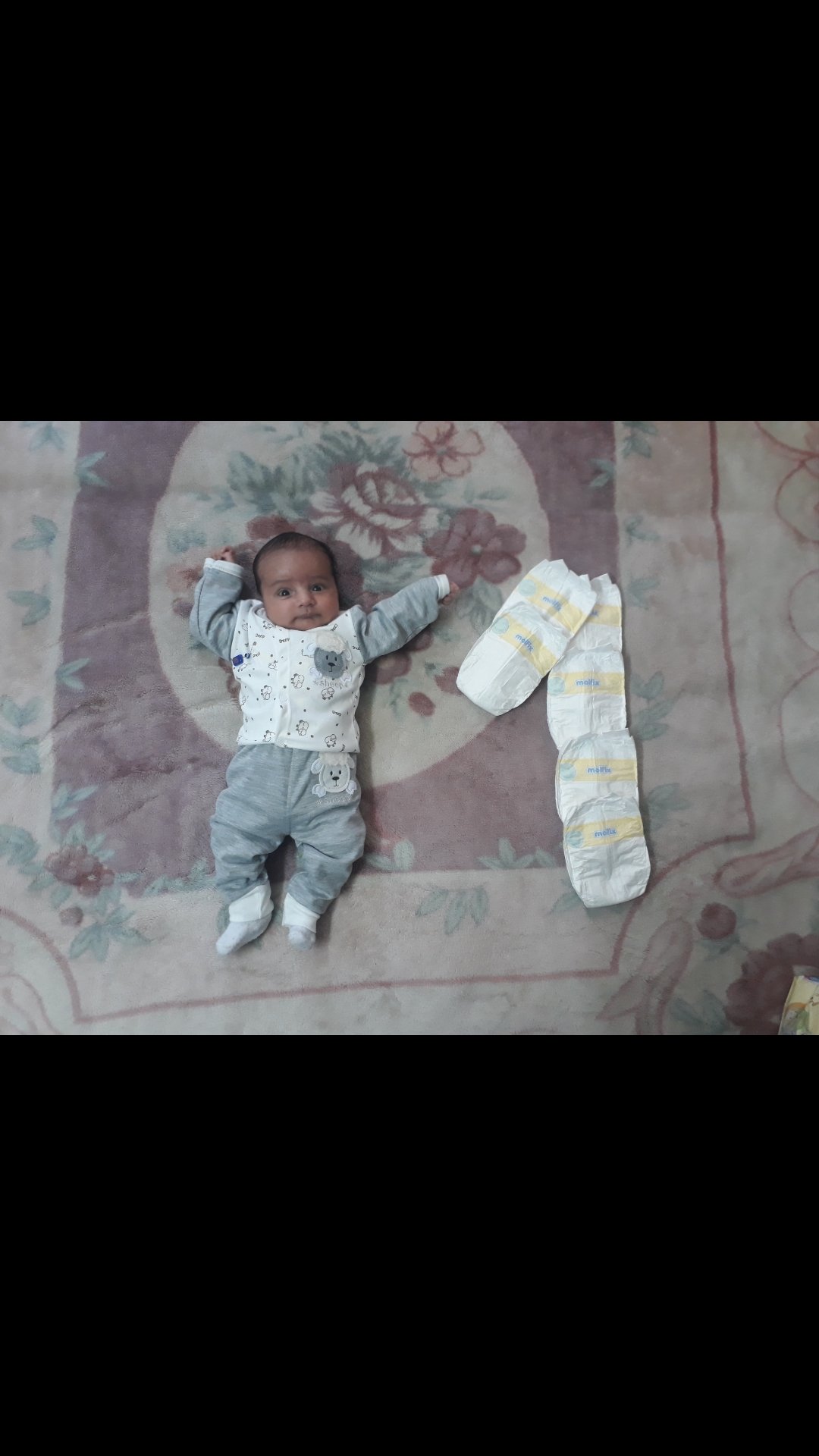 ماه رمضان شاهان محقق