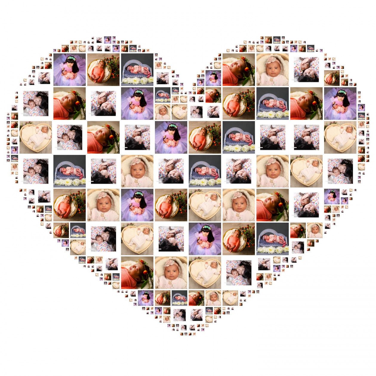 یک ماهگی نوزاد غزال داودی زنجانی