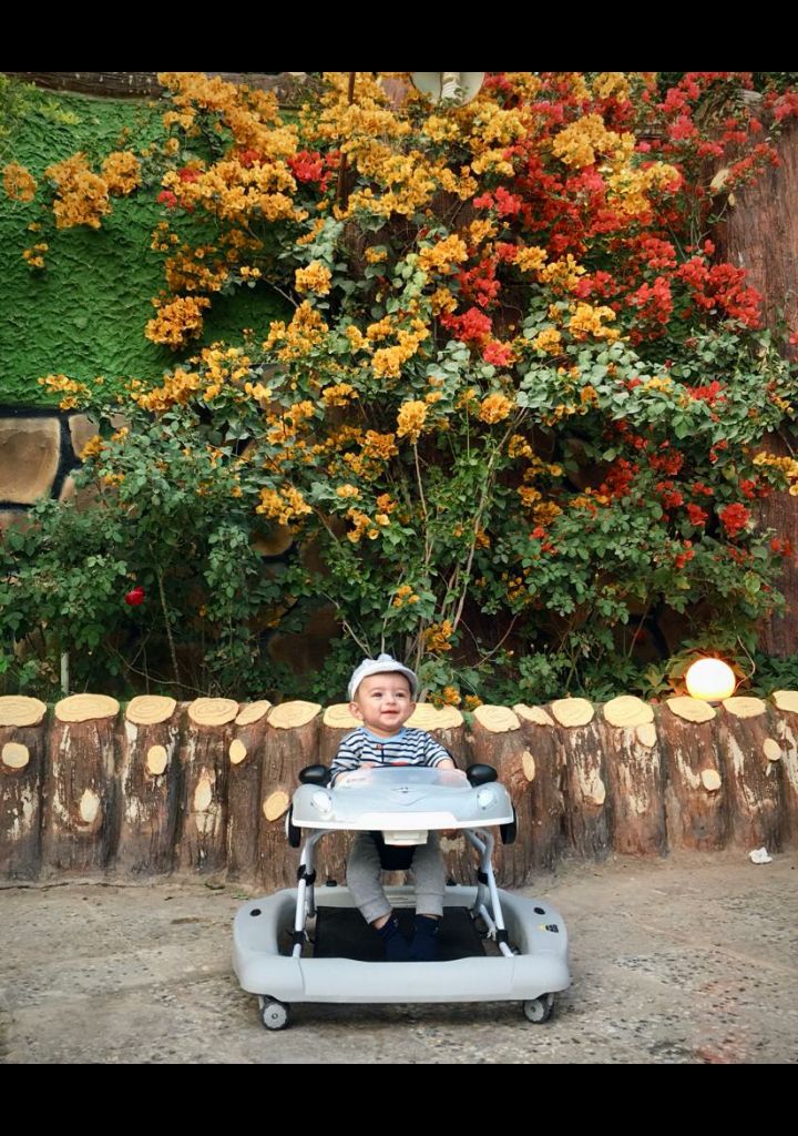 عید نوروز كارن احمدي خواه