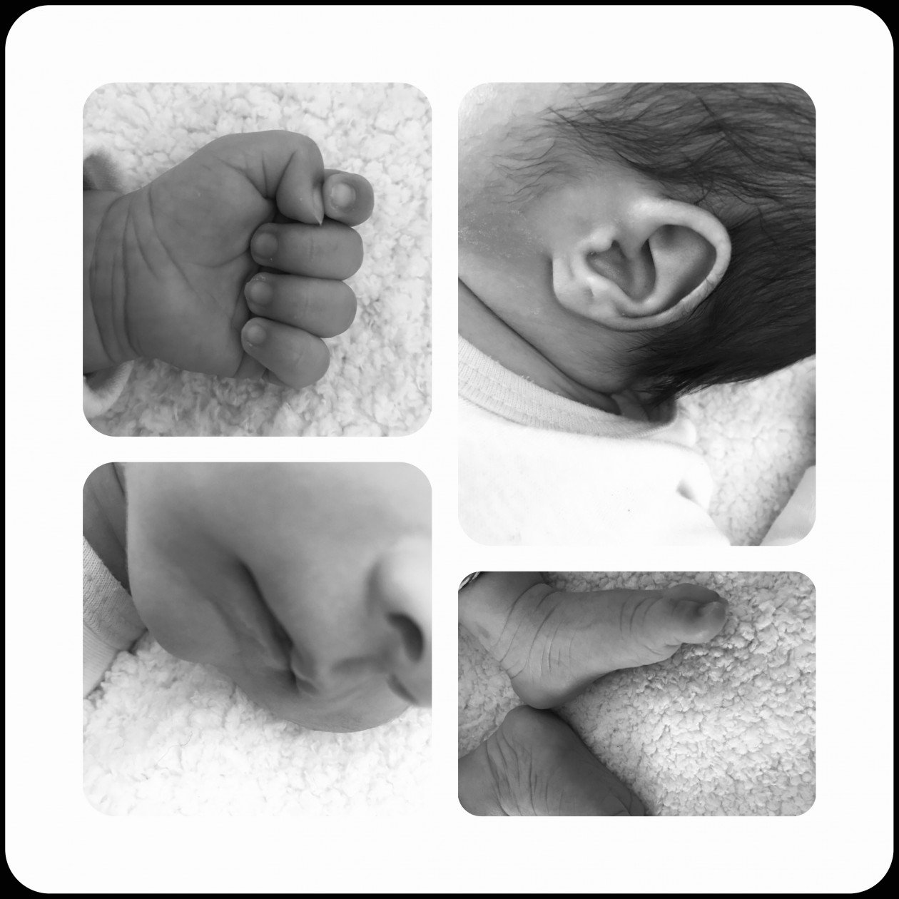 یک ماهگی نوزاد مهلا قلیچی