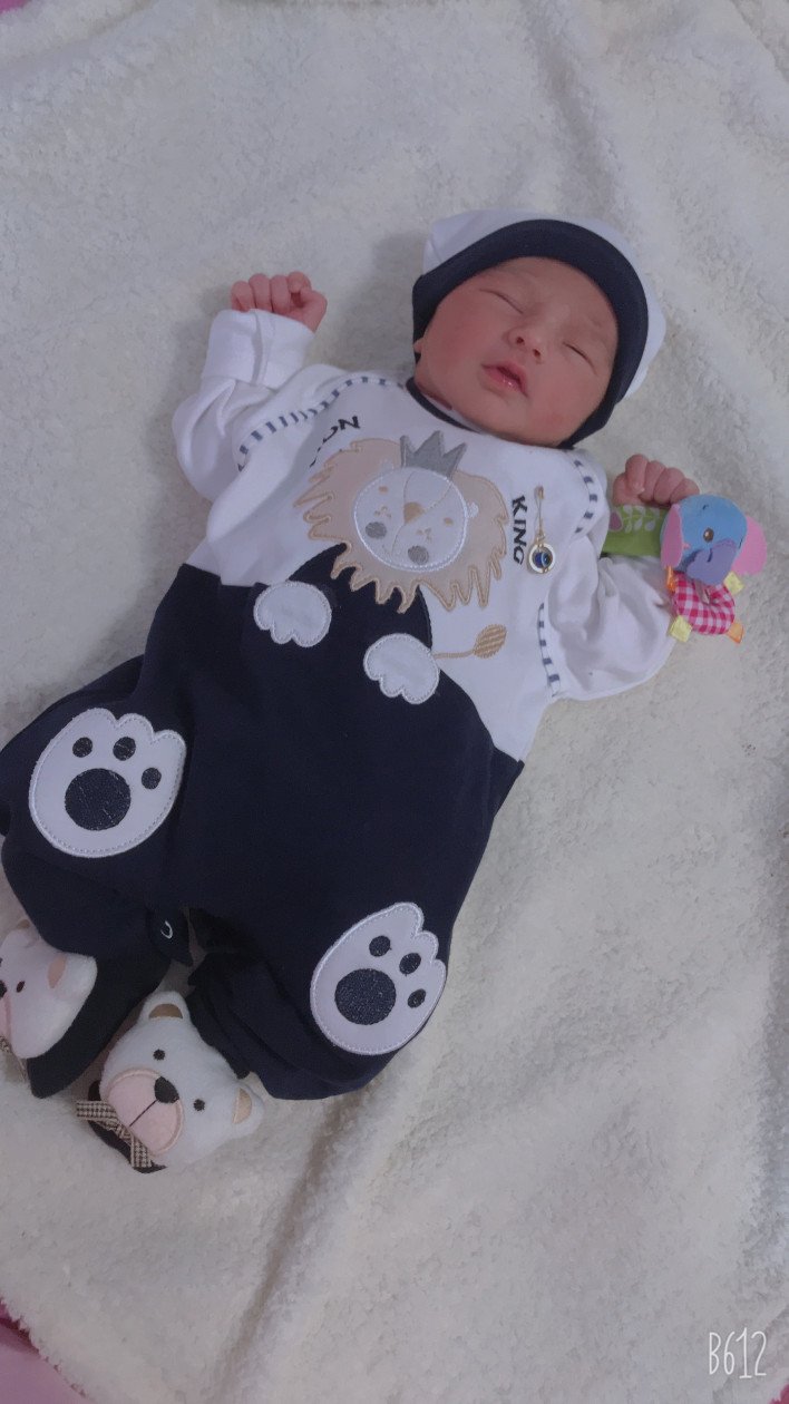 متولد شدن نوزاد مهلا قلیچی