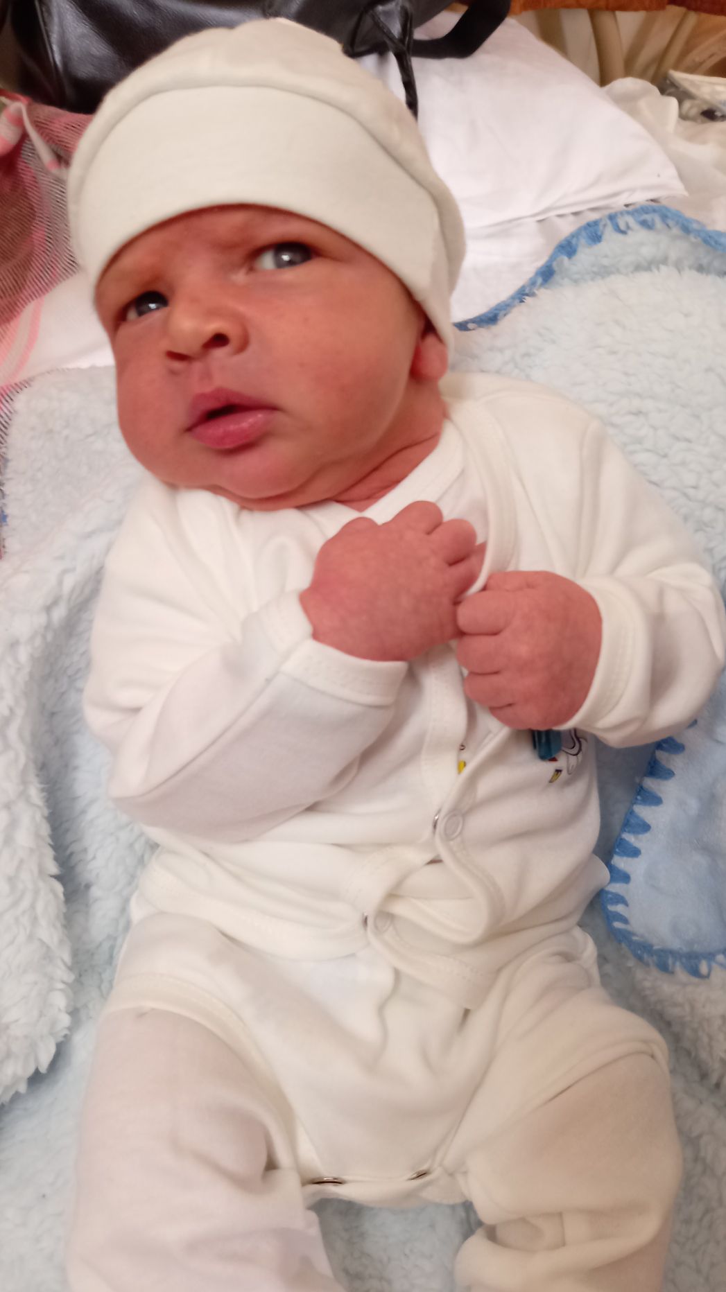 تم عکس بهاری کودک مهدی لطیف فرخانی