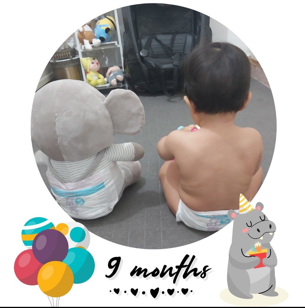 ایده هامین عارفی نسب