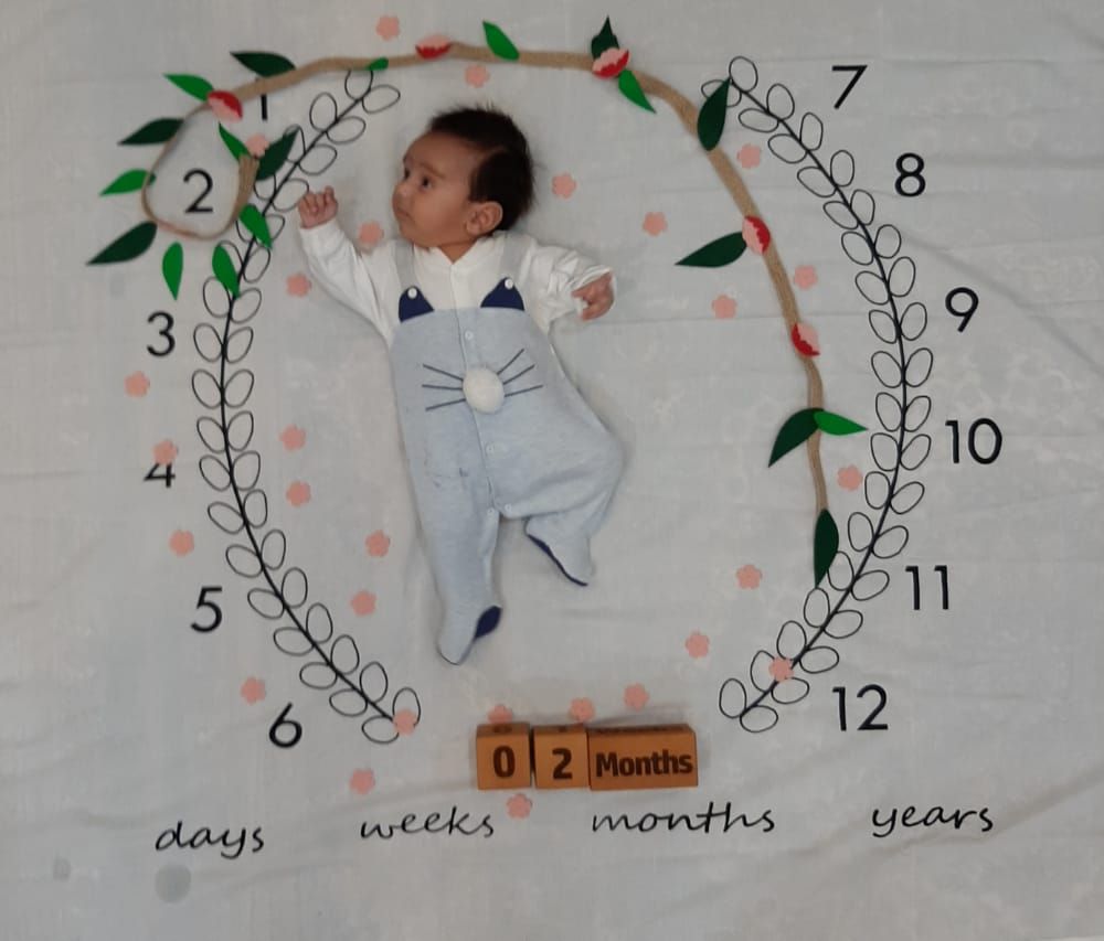 ریسه-و-شکوفه-بهاری-42983