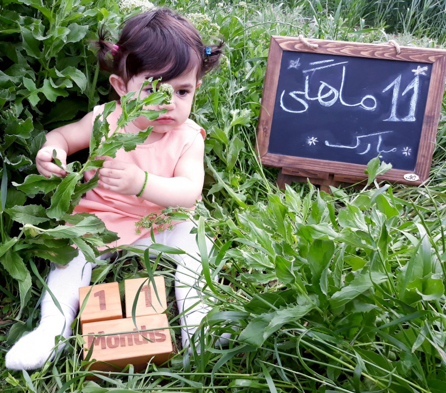 یازده ماهگی نوزاد لیانا کوچولو