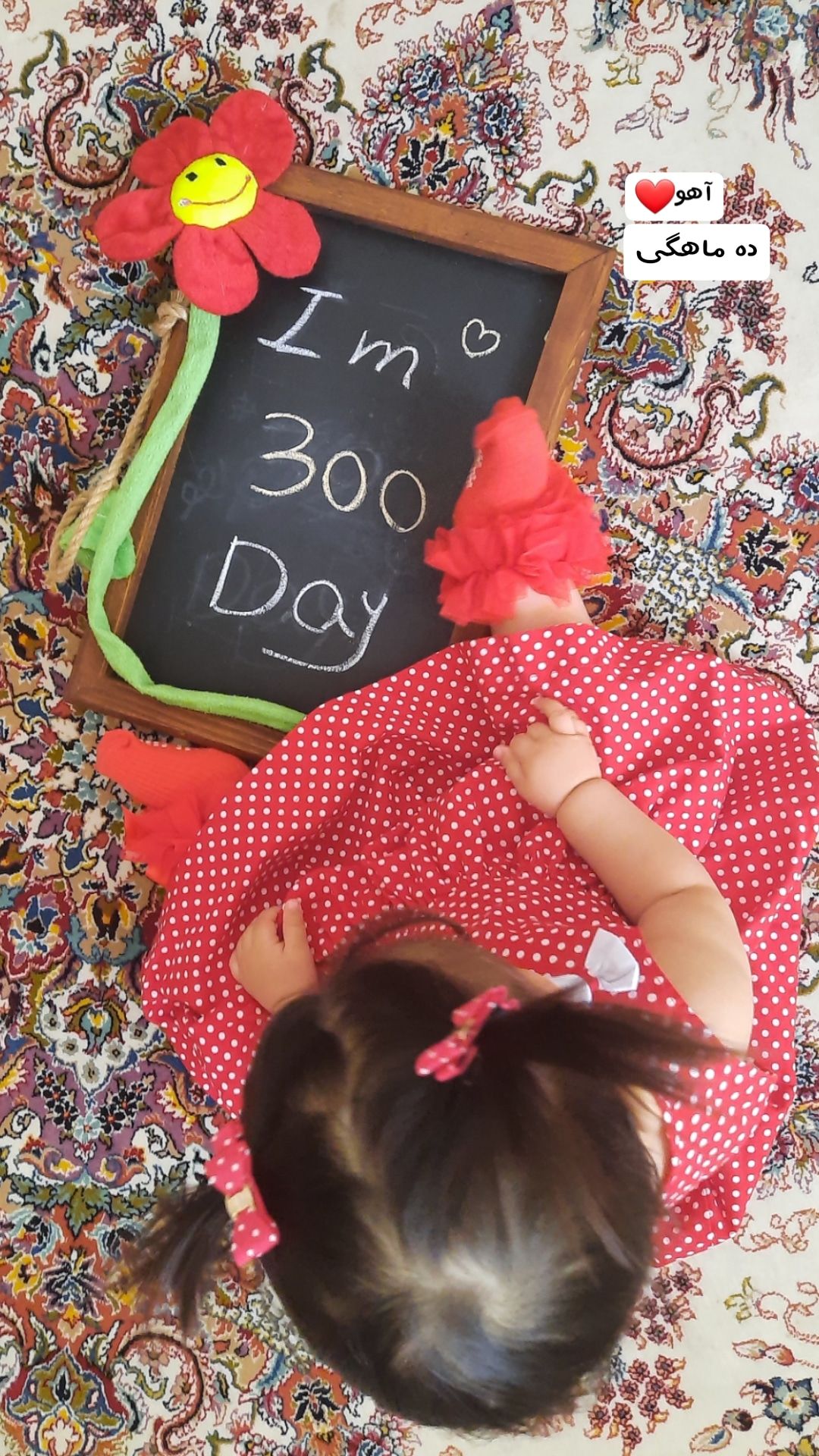 تم عکس بهاری کودک آهو