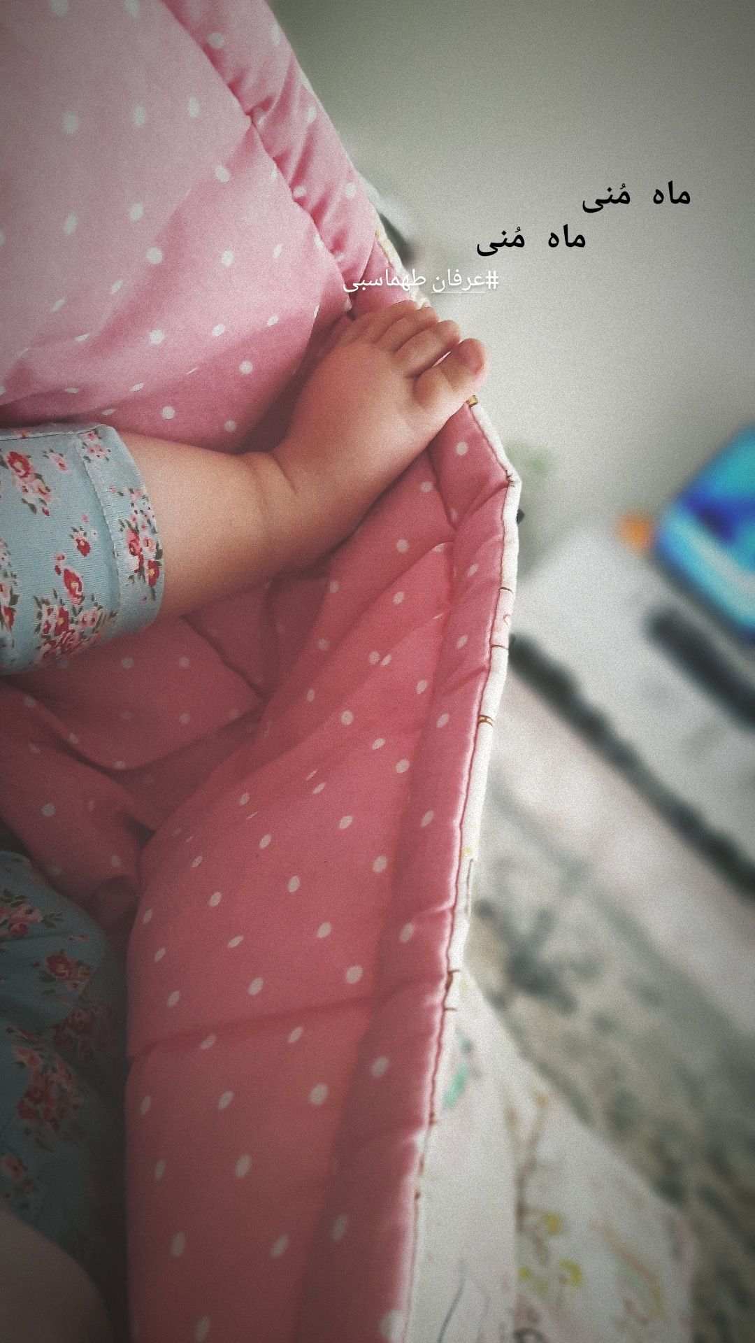 ده ماهگی نوزاد آهو