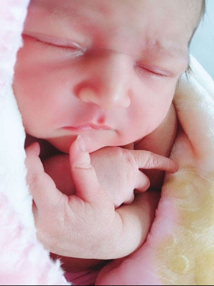 متولد شدن نوزاد مهنا محمددوست