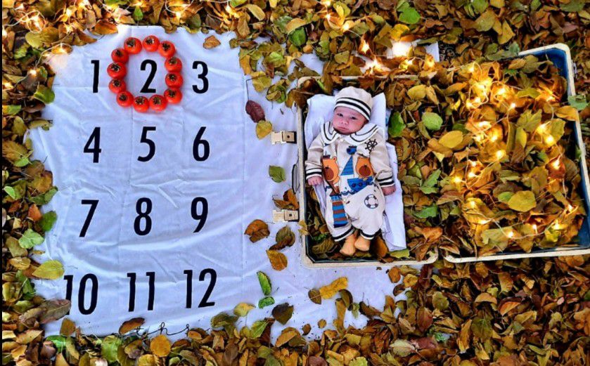 دو-ماهگی البرز صادقی