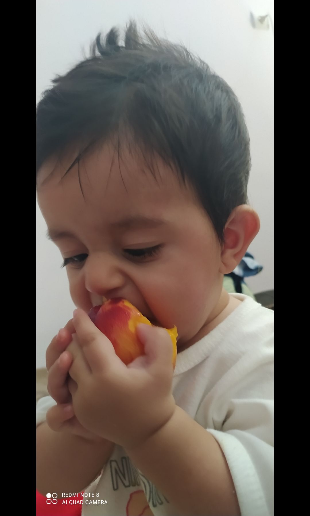 آلبوم خاطرات کودکی مهبد مرادی