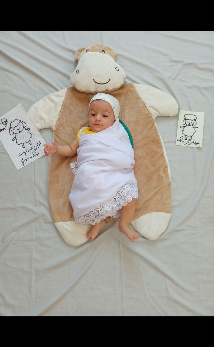 عید-قربان اقا امیرعلی