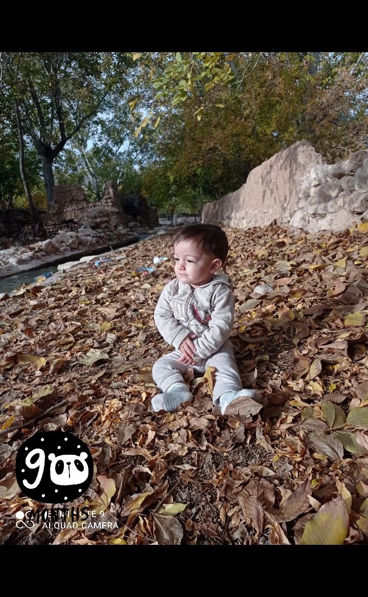 نه ماهگی نوزاد اقا امیرعلی