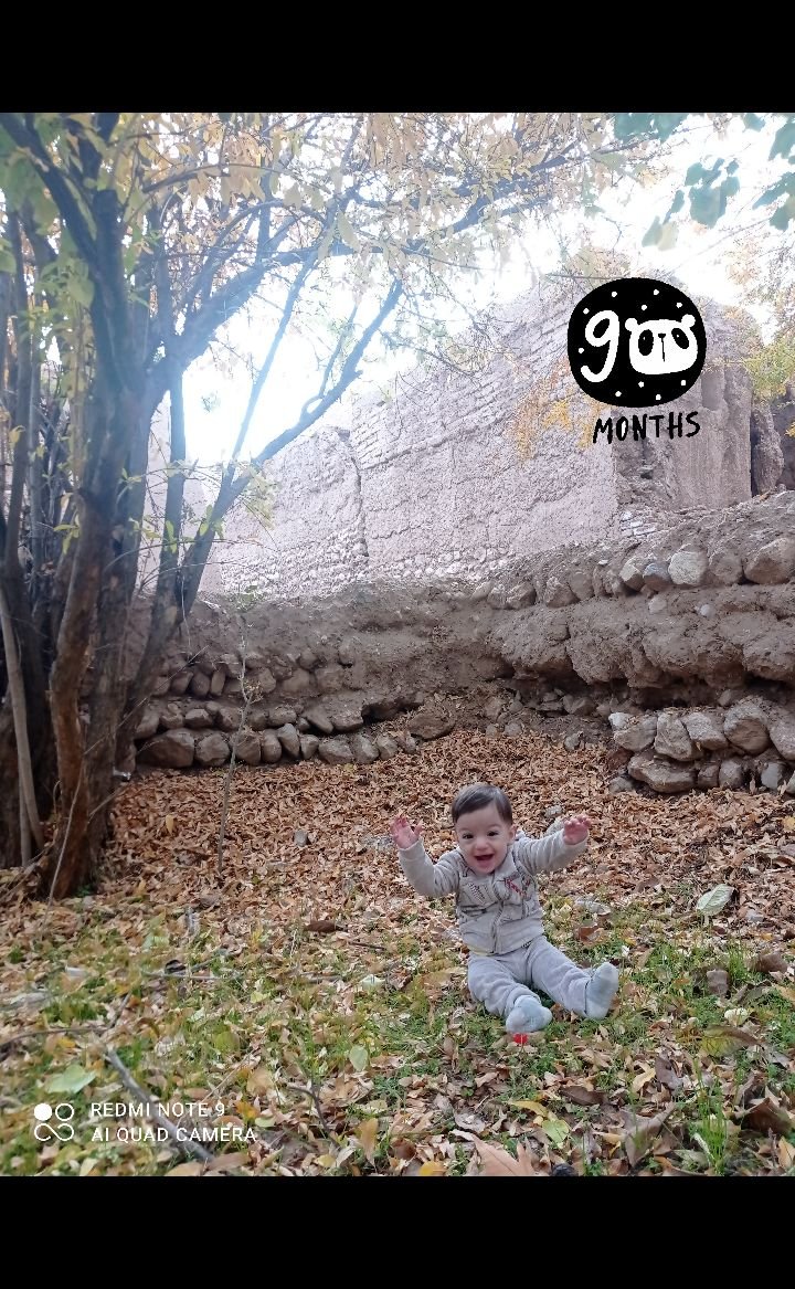 اولین-نشستن-بدون-کمک اقا امیرعلی