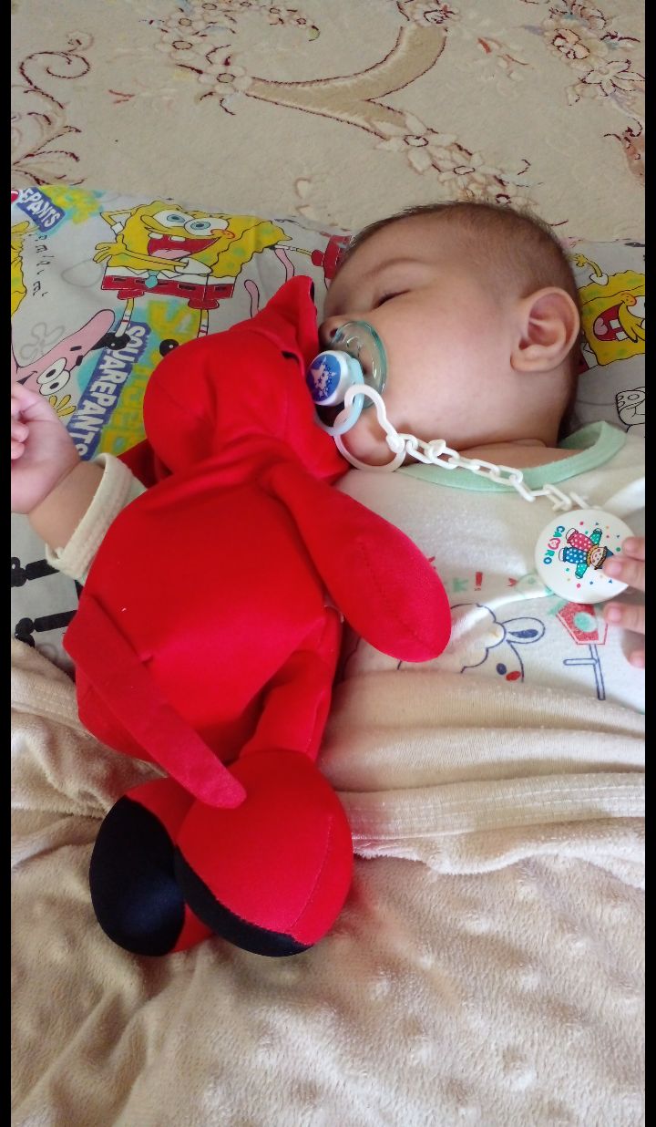 عروسک مورد علاقه الوین