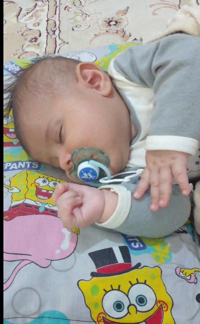 لالا کردنم الوین