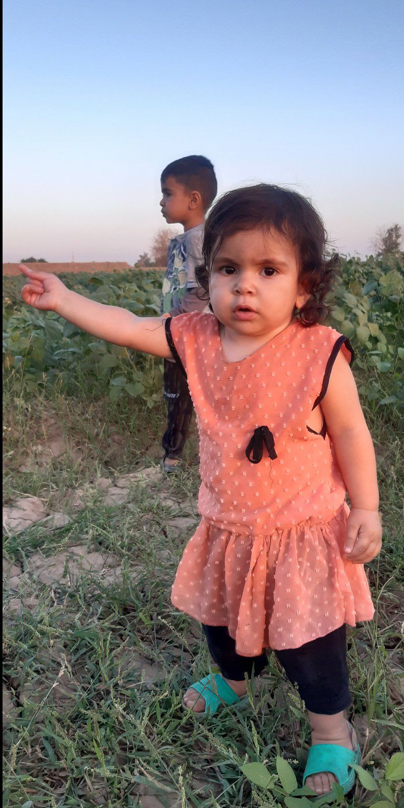 تم-پاییزی آیلین پور چگنی