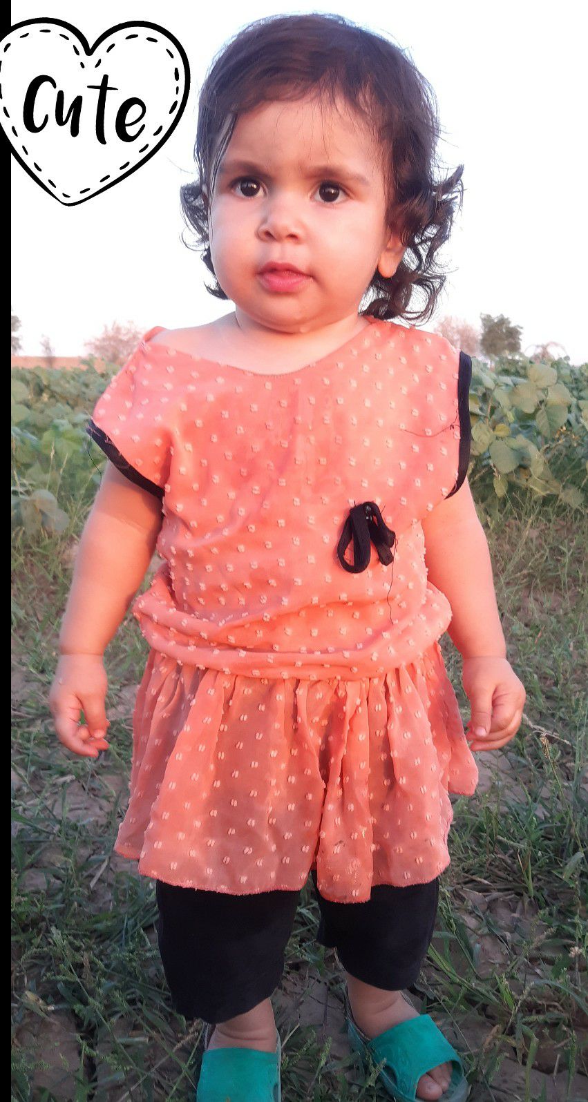 تم-پاییزی آیلین پور چگنی