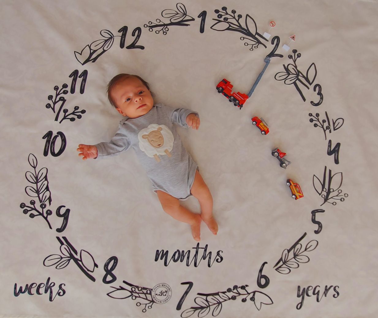 پارچه ماهگرد طرح حلقه تمشک منان صالحی☺