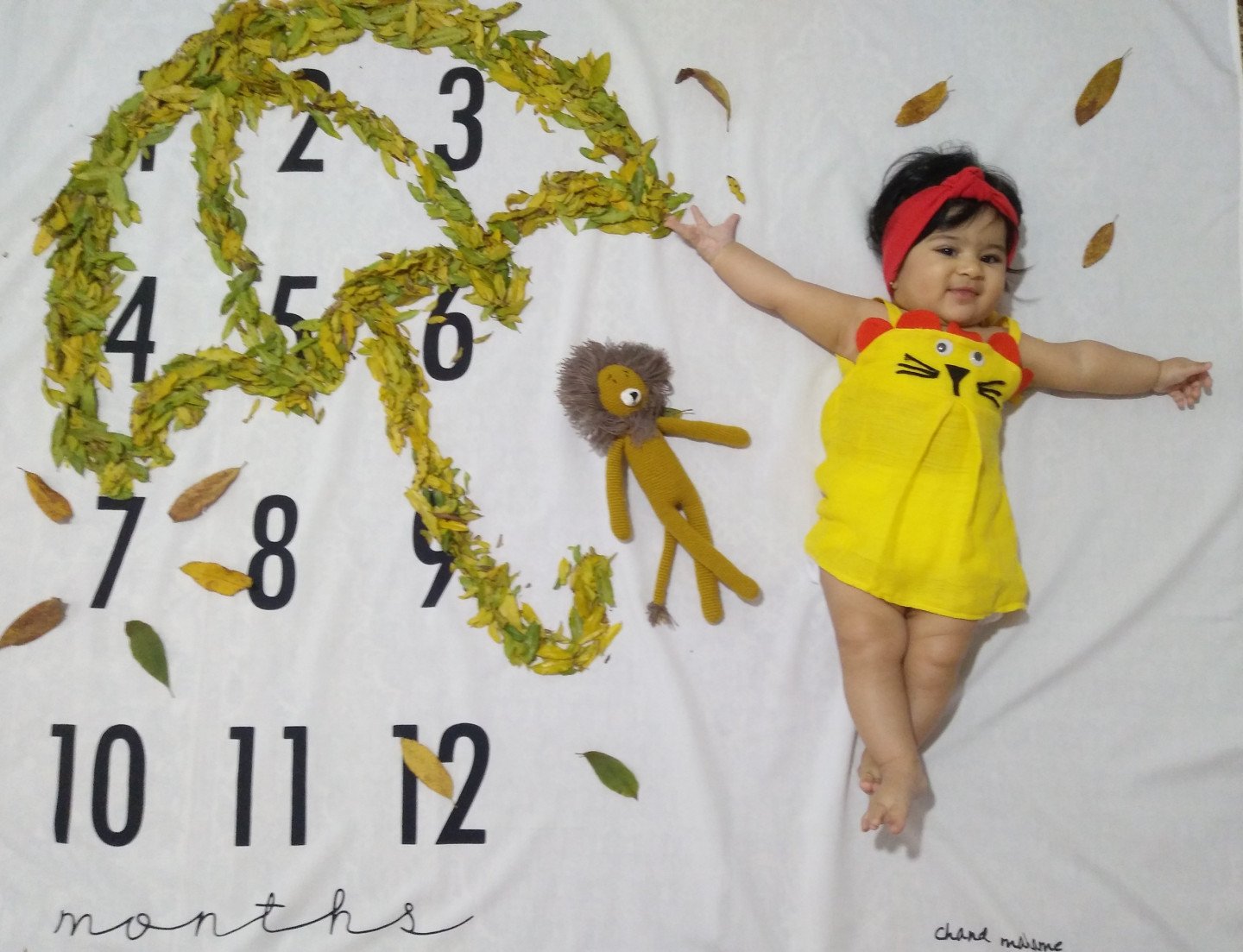 پارچه-های-عکاسی-47495