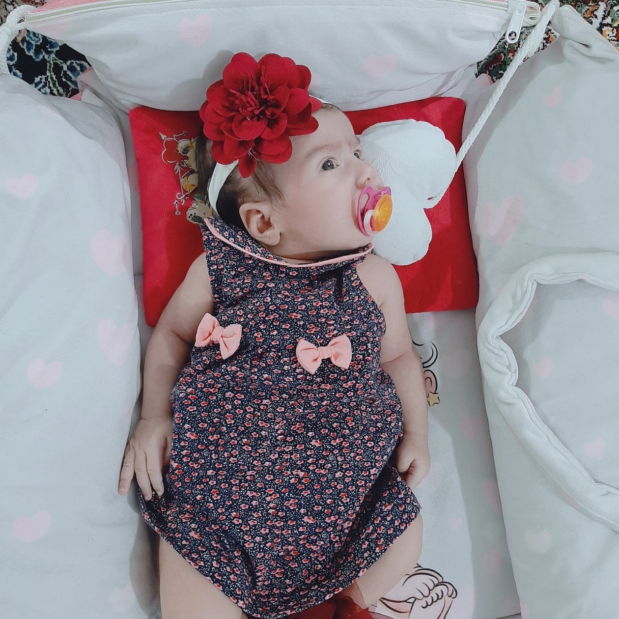 یک ماهگی نوزاد هانا مددی