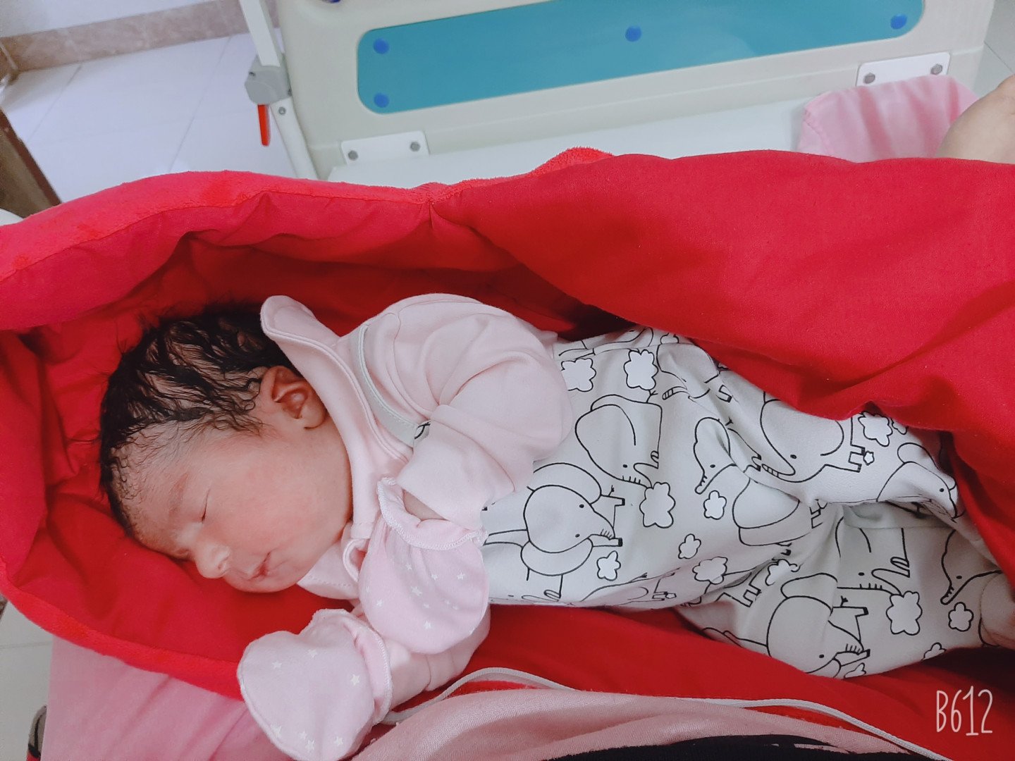 متولد شدن نوزاد هانا مددی