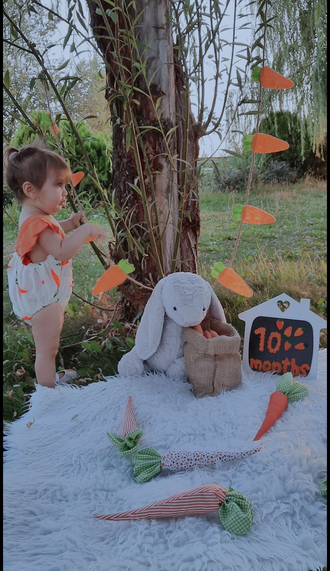 لباس عکاسی هویج جانان یوسفی