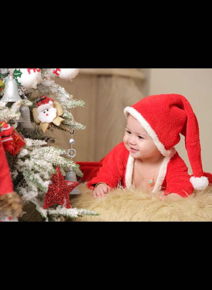 کریسمس پناه شاخص