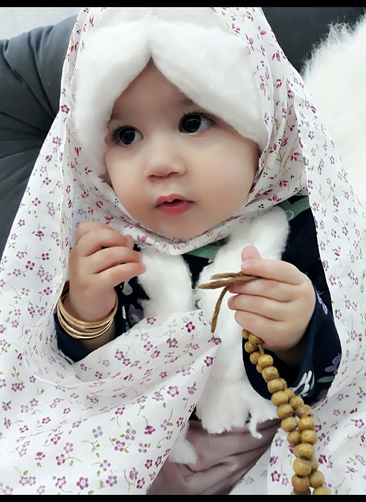 عکس-زمستان پناه شاخص