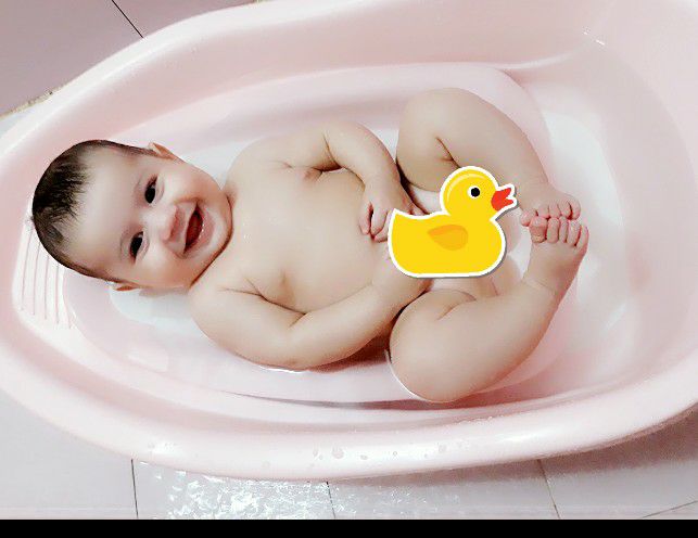 دست پناه شاخص