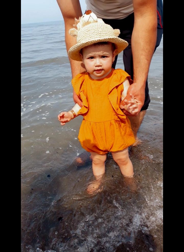 اولین-دریا پناه شاخص