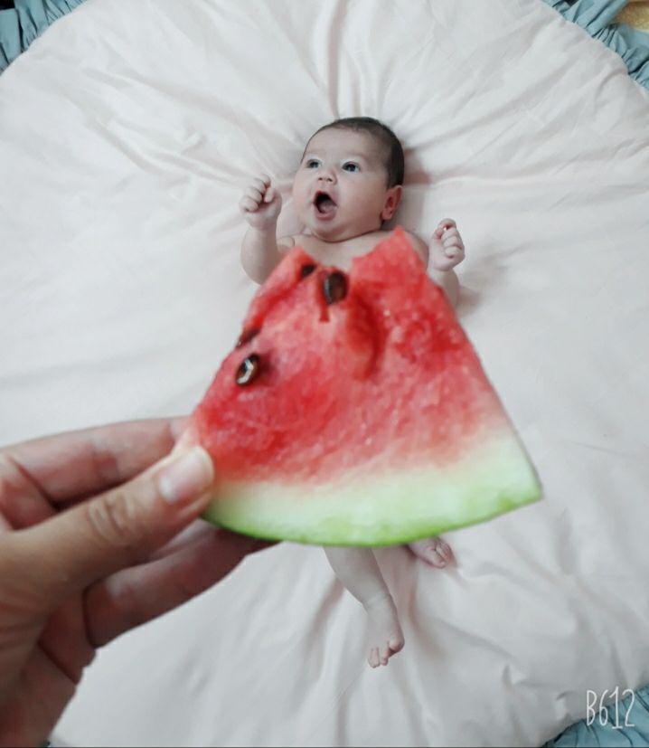 عکاسی با میوه پناه شاخص