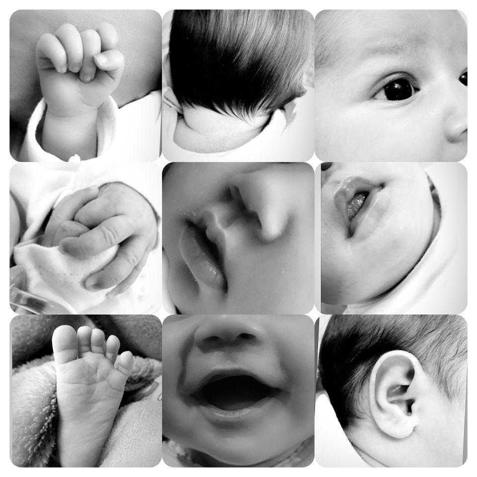 یک ماهگی نوزاد پناه شاخص