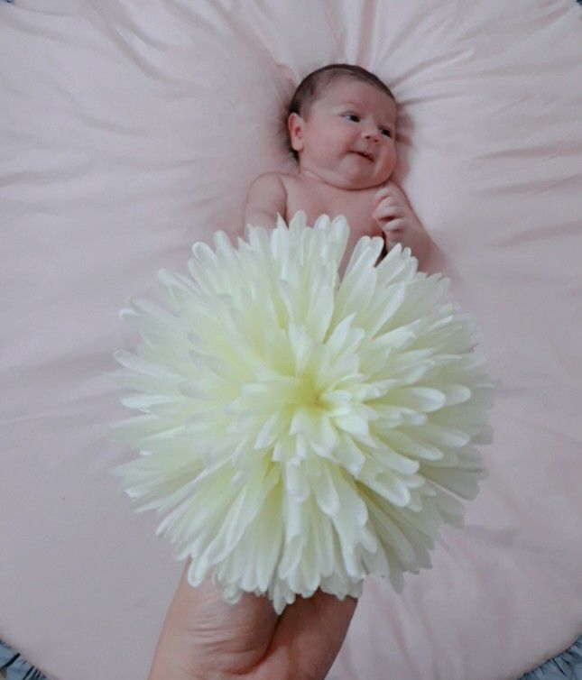 یک ماهگی نوزاد پناه شاخص