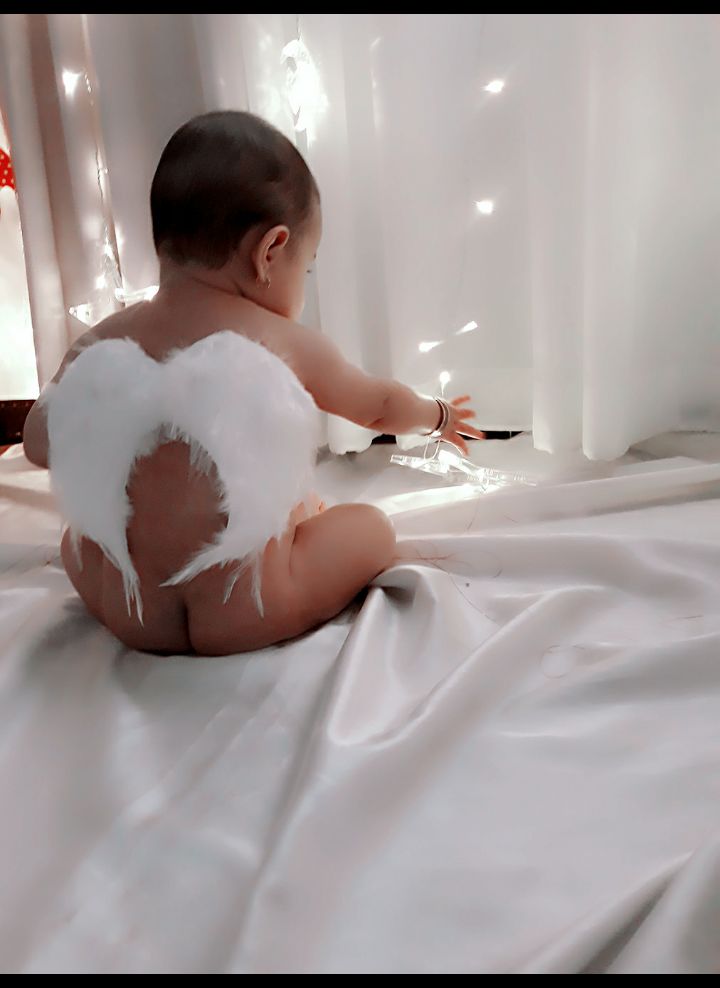 ایده پناه شاخص