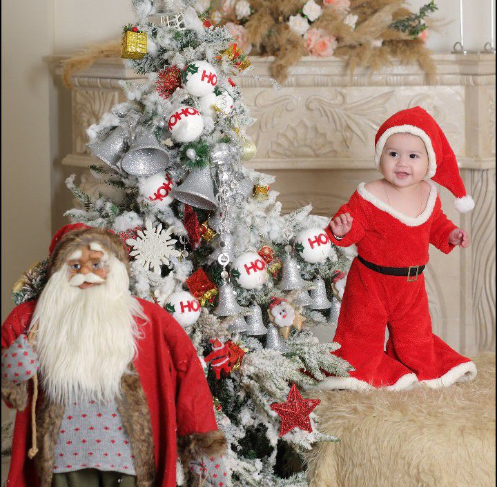 کریسمس پناه شاخص