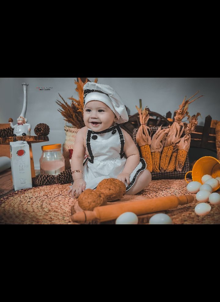 غذا پناه شاخص