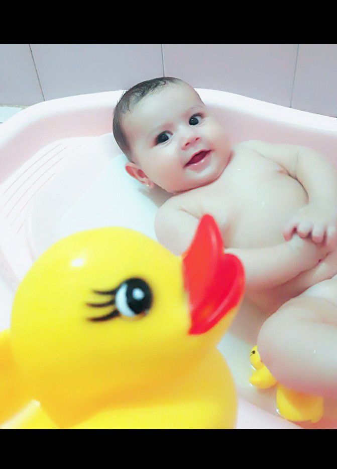 ایده پناه شاخص