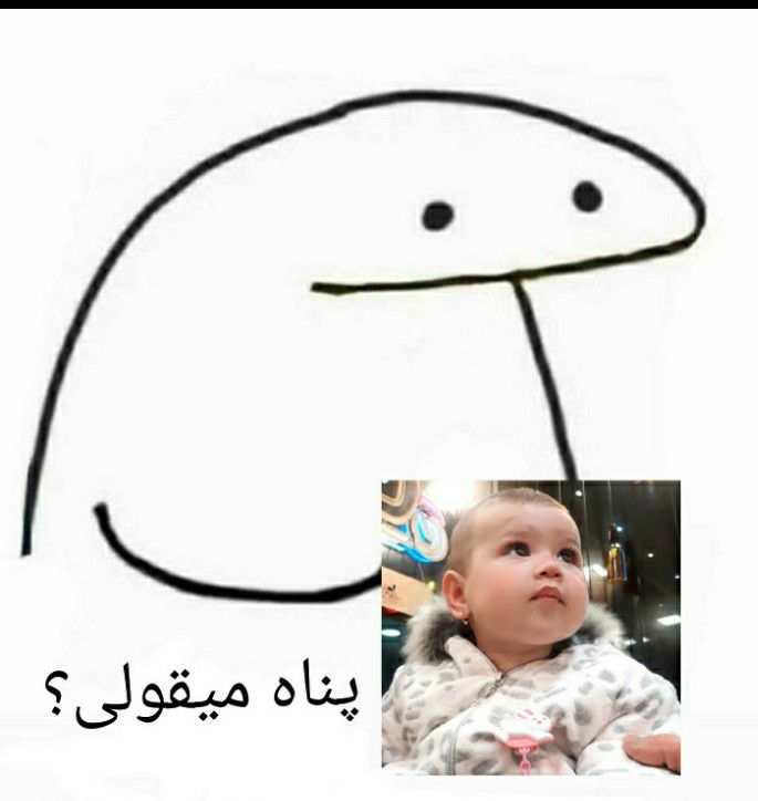 ایده پناه شاخص