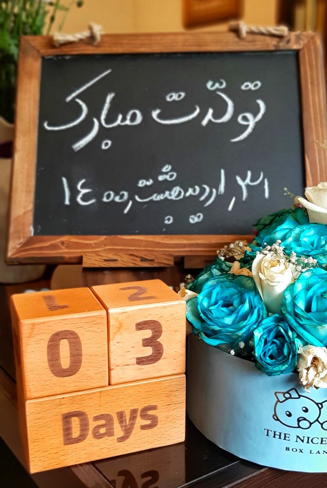 متولد شدن نوزاد کیان قدیانی