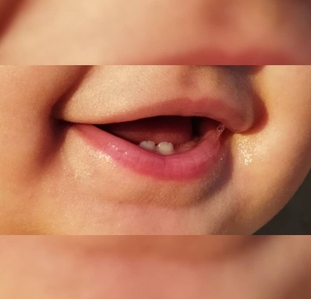 ده ماهگی نوزاد Rosha karimi